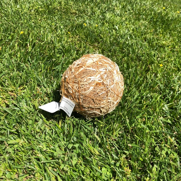 NWT Pier 1 Imports Decorative Natural Vase Filler - Picture 7 of 13